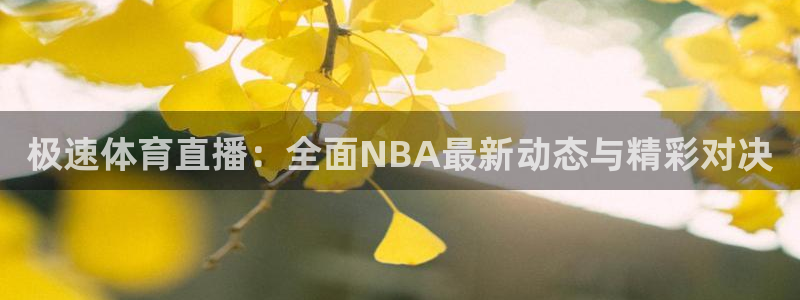 168全国开奖官网查询：极速体育直播：全面NBA最新动态与精彩对决