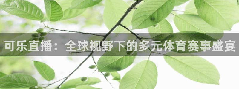 168全国开奖官网：可乐直播：全球视野下的多元体育赛事盛宴