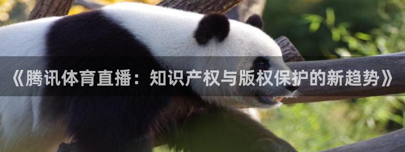 168全国统一开奖记录：《腾讯体育直播：知识产权与版权保护的新趋势》