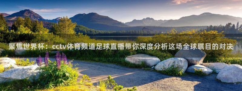 极速赛车168全国开奖：聚焦世界杯：cctv体育频道足球直播带你深度分析这场全球瞩目的对决
