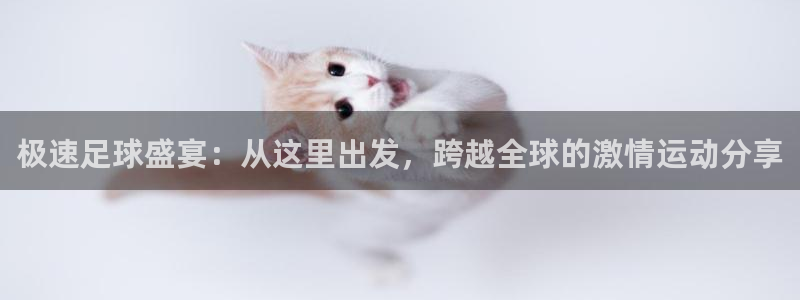 168全国统一开奖记录：极速足球盛宴：从这里出发，跨越全球的激情运动分享