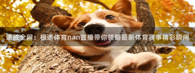 168全国统一开奖网查询：速胜全网：极速体育nan直播带你领略最新体育赛事精彩瞬间