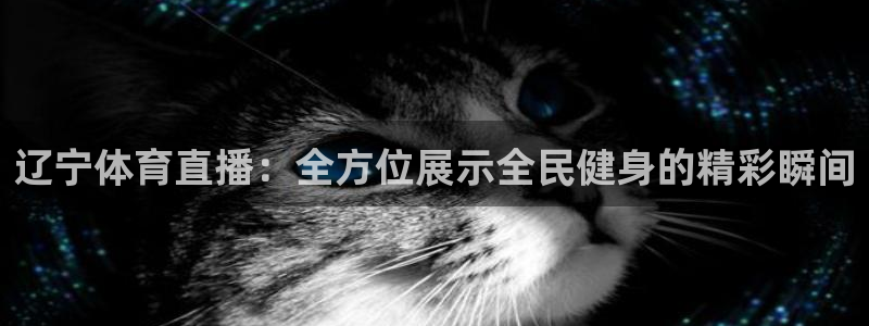 极速赛车168全国开奖：辽宁体育直播：全方位展示全民健身的精彩瞬间