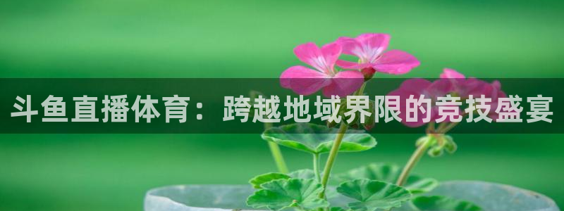 168全国开奖网入口：斗鱼直播体育：跨越地域界限的竞技盛宴