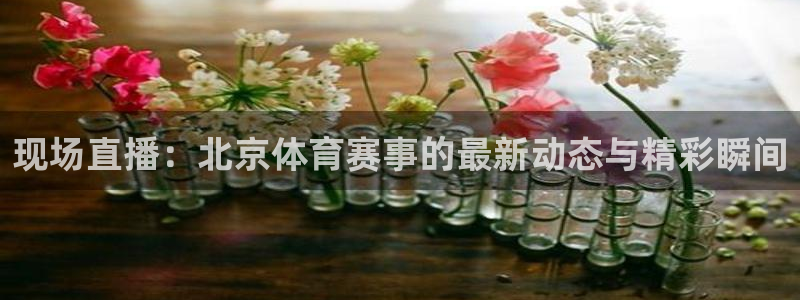 168全国统一开奖网址：现场直播：北京体育赛事的最新动态与精彩瞬间