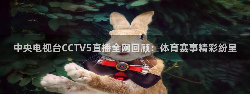 168全国开奖网官网：中央电视台CCTV5直播全网回顾：体育赛事精彩纷呈