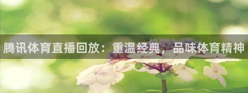 168全国统一开奖官网直播：腾讯体育直播回放：重温经典，品味体育精神