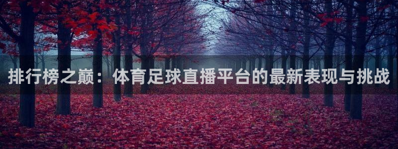 168全国开奖网开户：排行榜之巅：体育足球直播平台的最新表现与挑战