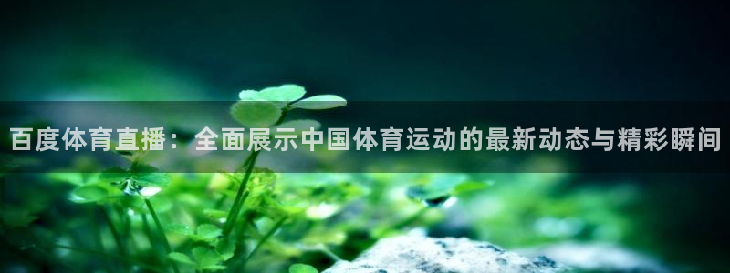 168全国统一开奖网极速赛车极速赛车16：百度体育直播：全面展示中国体育运动的最新动态与精彩瞬间