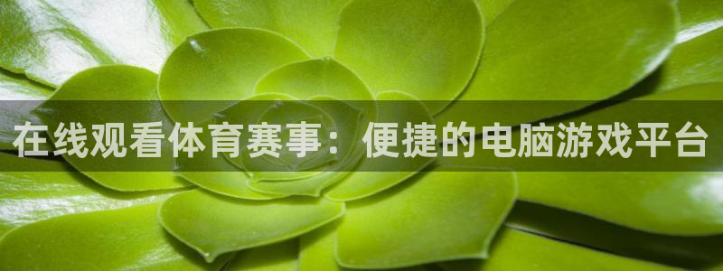 168全国开奖网下载：在线观看体育赛事：便捷的电脑游戏平台