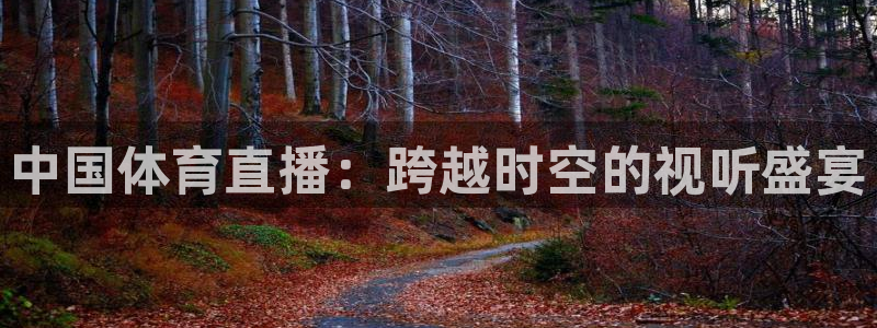 168全国开奖网：中国体育直播：跨越时空的视听盛宴