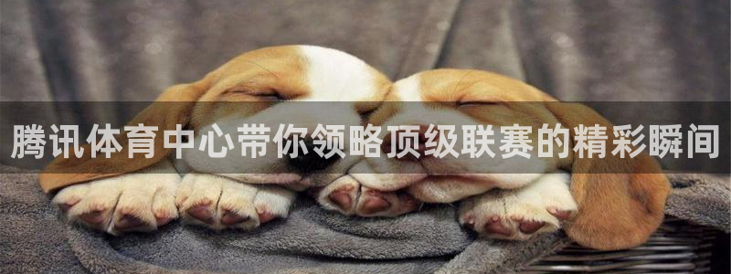 168全国开奖网下载：腾讯体育中心带你领略顶级联赛的精彩瞬间