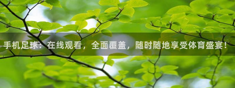 168全国统一开奖网app：手机足球：在线观看，全面覆盖，随时随地享受体育盛宴！