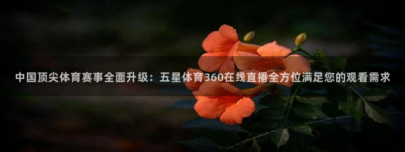 168全国开奖网平台：中国顶尖体育赛事全面升级：五星体育360在线直播全方位满足您的观看需求
