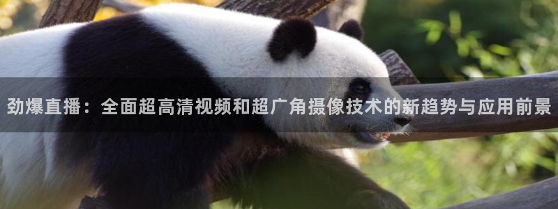 168全国开奖官网：劲爆直播：全面超高清视频和超广角摄像技术的新趋势与应用前景