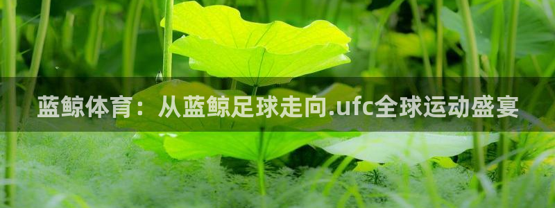168全国开奖网：蓝鲸体育：从蓝鲸足球走向.ufc全球运动盛宴