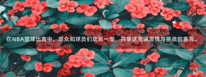 168全国统一开奖结果査询：在NBA篮球比赛中，观众和球员们欢聚一堂，共享这充满激情与挑战的赛况。