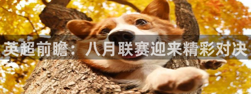 168全国统一开奖网下载：英超前瞻：八月联赛迎来精彩对决