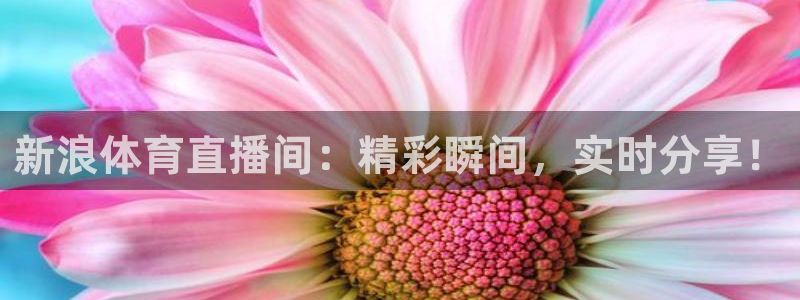 168全国开奖网官网：新浪体育直播间：精彩瞬间，实时分享！
